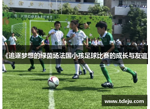 《追逐梦想的绿茵场法国小孩足球比赛的成长与友谊》